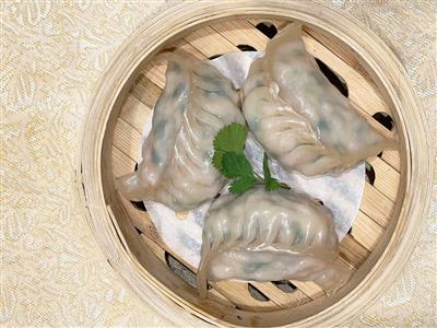 Vegetable Potsticker
